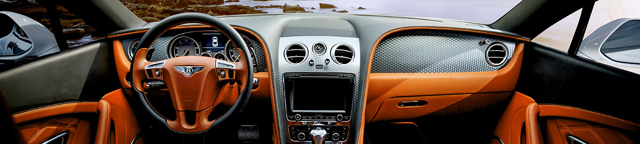 2GO Software - The universal software garage for all brands!